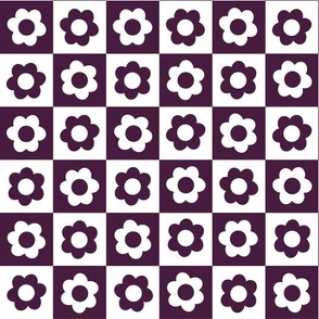 elderberry daisy checkerboard