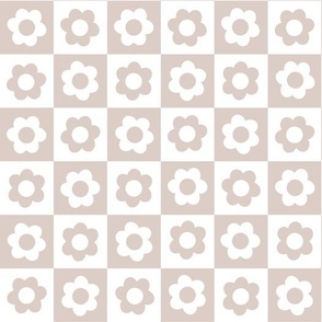 lilac kiss daisy checkerboard