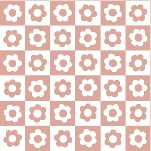 moonbeam daisy checkerboard