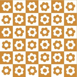 carrot cake daisy checkerboard