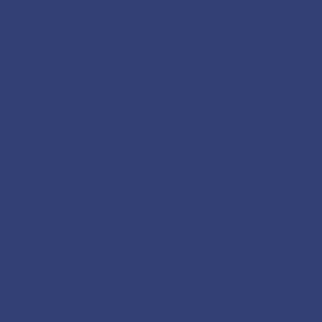 Starry Night Blue 2067-20 Solid Color 334076 Benjamin Moore Colour Trends 2023
