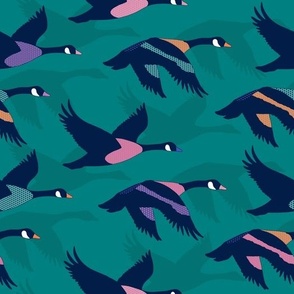 Normal scale • Canada Geese - Teal background