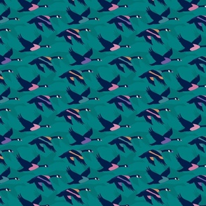Small scale • Canada Geese - Teal background
