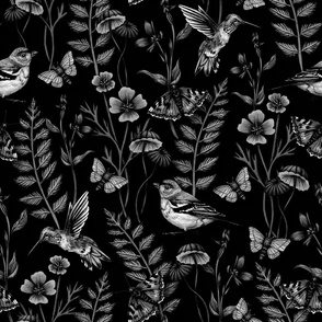 Black & White Hummingbirds, Butterflies & Flowers