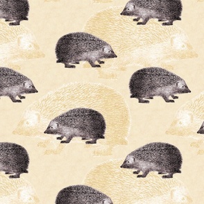 Vintage Hedgehogs