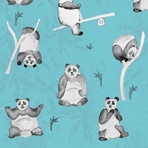 Pandas on Blue