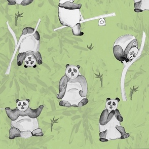 Pandas on Green