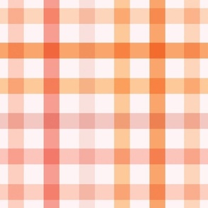 Colorful Gingham 12x12
