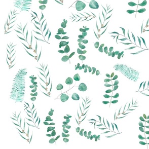 Green Eucalyptus leaves pattern 