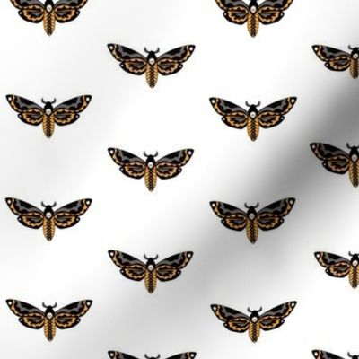 Death Moth white background