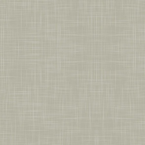 agate gray linen texture - pantone ignite color palette - #B3B1A1