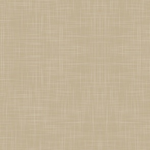 pale khaki linen texture - pantone ignite color palette - #BFAF92