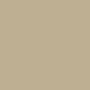 3H Ignite - Pale Khaki - Solid Color – Hex Code #BFAF92 - 15-1216 Pantone Color - Ignite Color Palette – 3H-Art Solid Colors