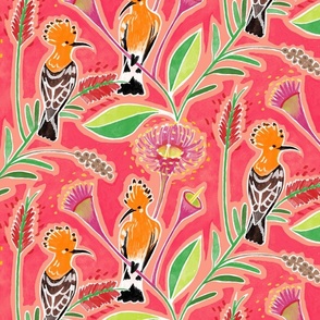 Hoopoe_Happiness Pink small