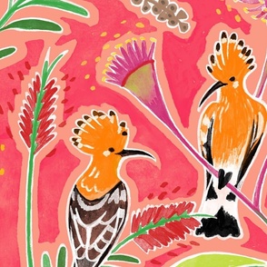 Hoopoe_Happiness Pink