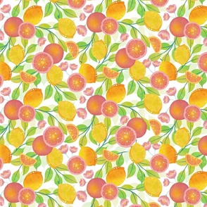 Bright summer citrus fruit small