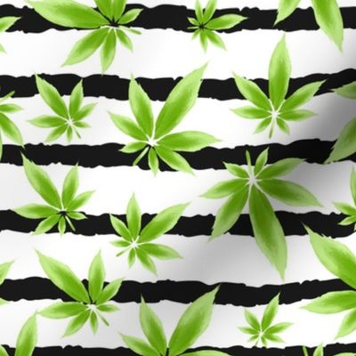 Ganja Cannabis Leaf Design  Green Black and White Stripes