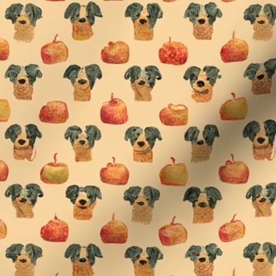 A apple dog a day - pet food cute
