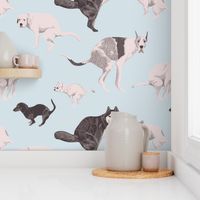 Dogs pooping, toilet wallpaper, vet scrubs. Malamute, pug, sausage dog, Great Dane shitting on light blue background. Small scale