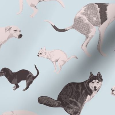 Dogs pooping, toilet wallpaper, vet scrubs. Malamute, pug, sausage dog, Great Dane shitting on light blue background. Small scale