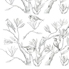 magnolia flower drawing and birds