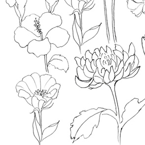 wildflowers  line drawing black and white