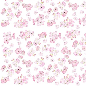 pink cherry blossom pattern