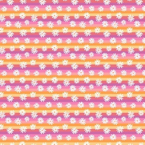 Rainbow Stripe Daisy Pinks - extra small scale