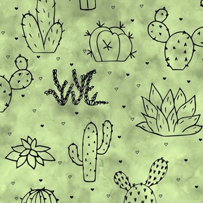I love Cacti