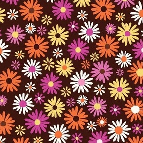 Colorful daisies on chocolate brown
