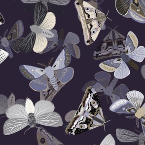 mothswhite.violet