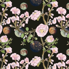 pattern.moons.roses.black