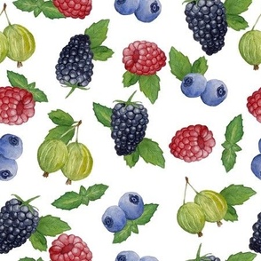 Watercolor Berry Pattern - Raspberry Blackberry