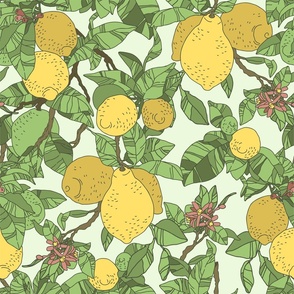 Lemon graphic on light green