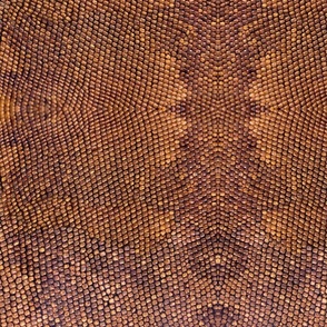 iguana skin red brown