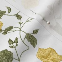 21" a yellow summer  morning glory ,climbers meadow  - nostalgic  home decor on white,  Baby Girl and nursery fabric perfect for kidsroom wallpaper, kids room, kids decor