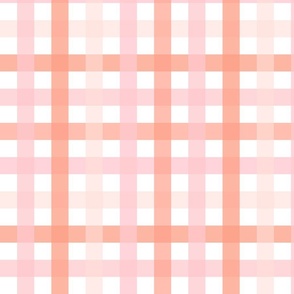 Pink and Peach Gingham