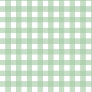 Pale Green Gingham