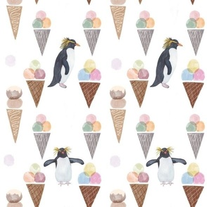 Fluffy Rockjumper penguins and ice cream cones
