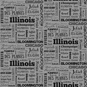 Illinois cities in gray_ 4 inch repeat