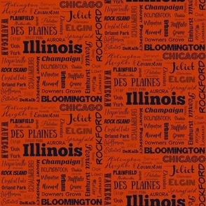 Illinois cities in orange_ 4 inch repeat