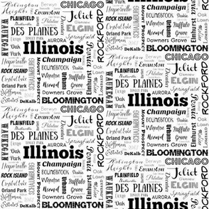 Illinois cities in white_ 4 inch repeat