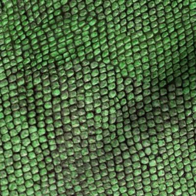 iguana skin green