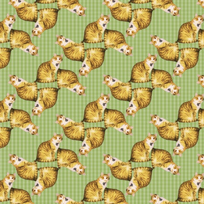 CatPatternRepeat