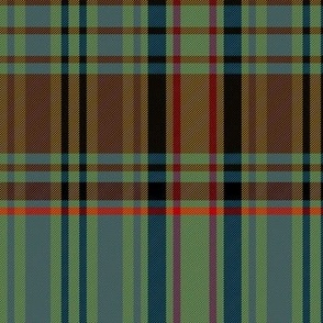 Dunbarton Canadian district warp-weft tartan, 6x11.8"