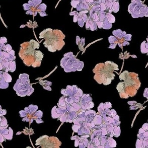 Geranium Flowers in Lavender and Black