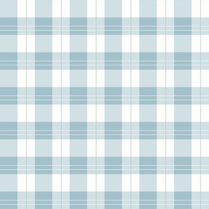 Blue Plaid - Large