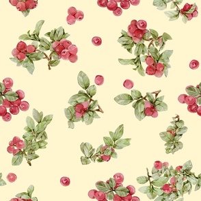 Cranberry watercolor berries on light yellow