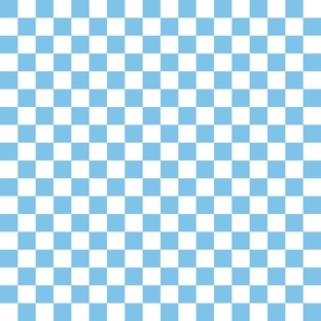 Checkerboard Aero Blue