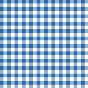 1/4" Gingham Distant Blue
